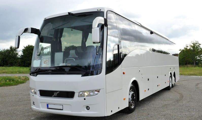 Europe: Buses agency in Serbia in Serbia and Serbia