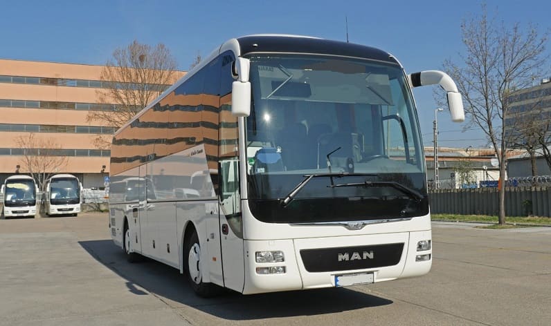 Baranya: Buses operator in Mohács in Mohács and Hungary